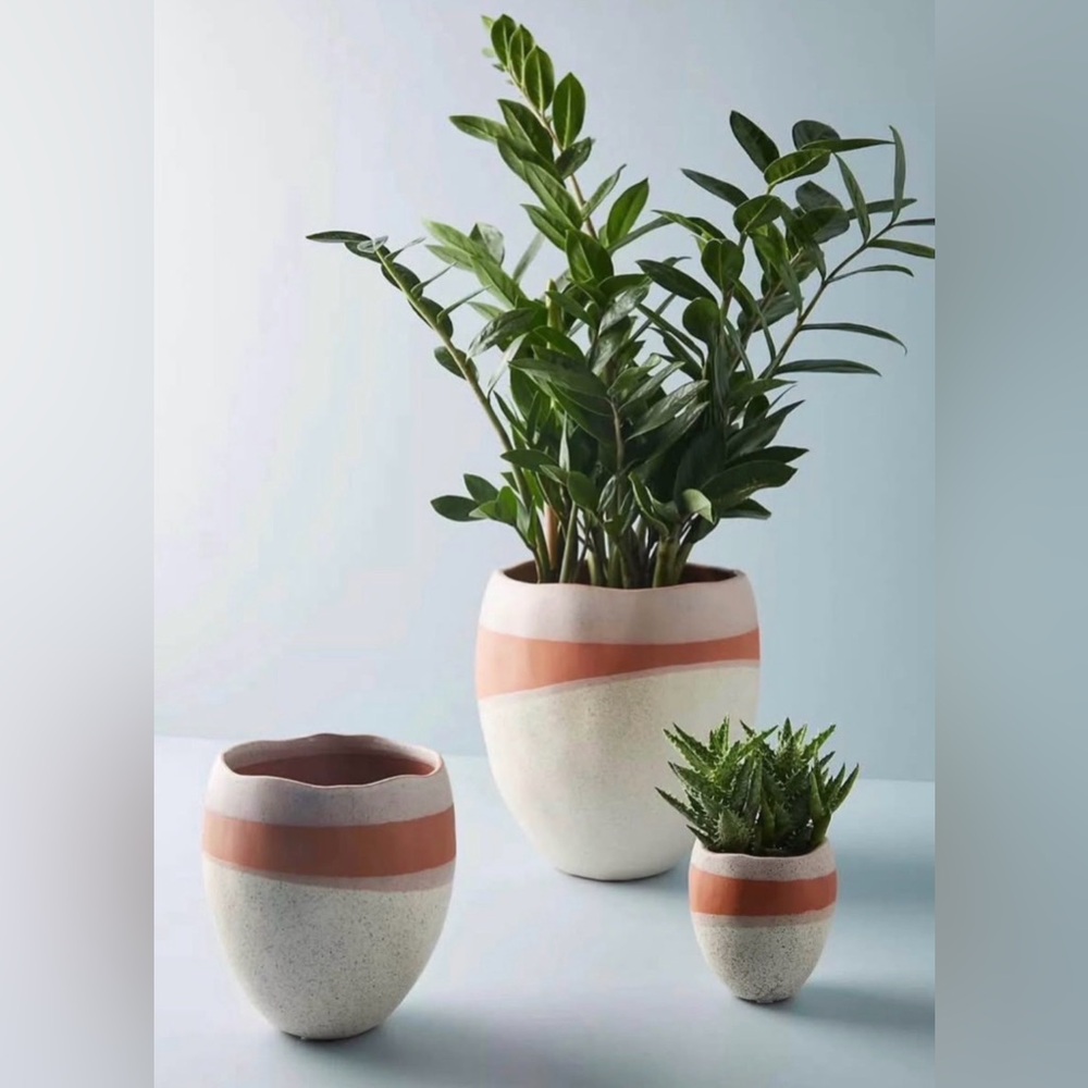 New Anthropologie Rosado Plant Pot Container Planter Small